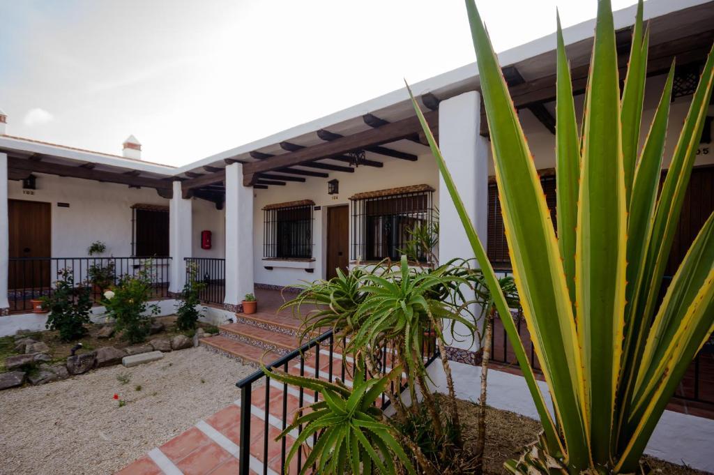 Апартаменты Hacienda Puerto Conil Кониль-де-ла-Фронтера Экстерьер фото